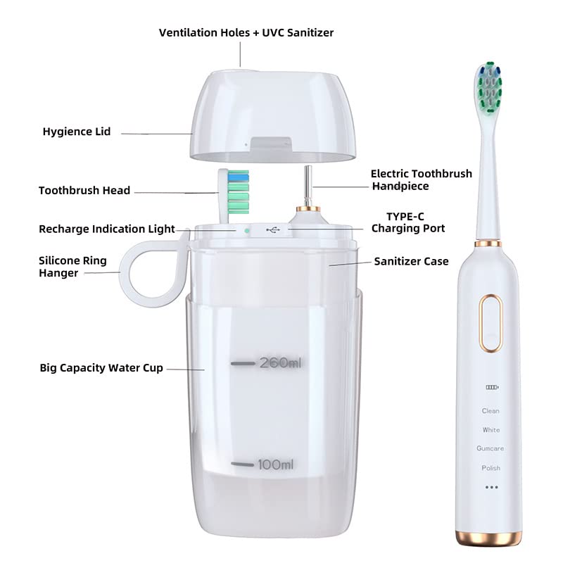 Set includes 6 replaceable brush heads and a travel case