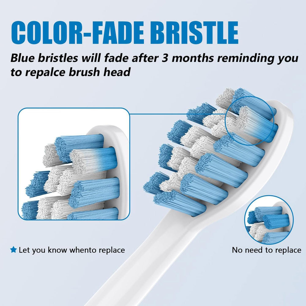 Detailed bristle design of C1 Sonicare replacement head