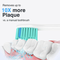 Curved, end-rounded bristles for Philips Sonicare replacement heads