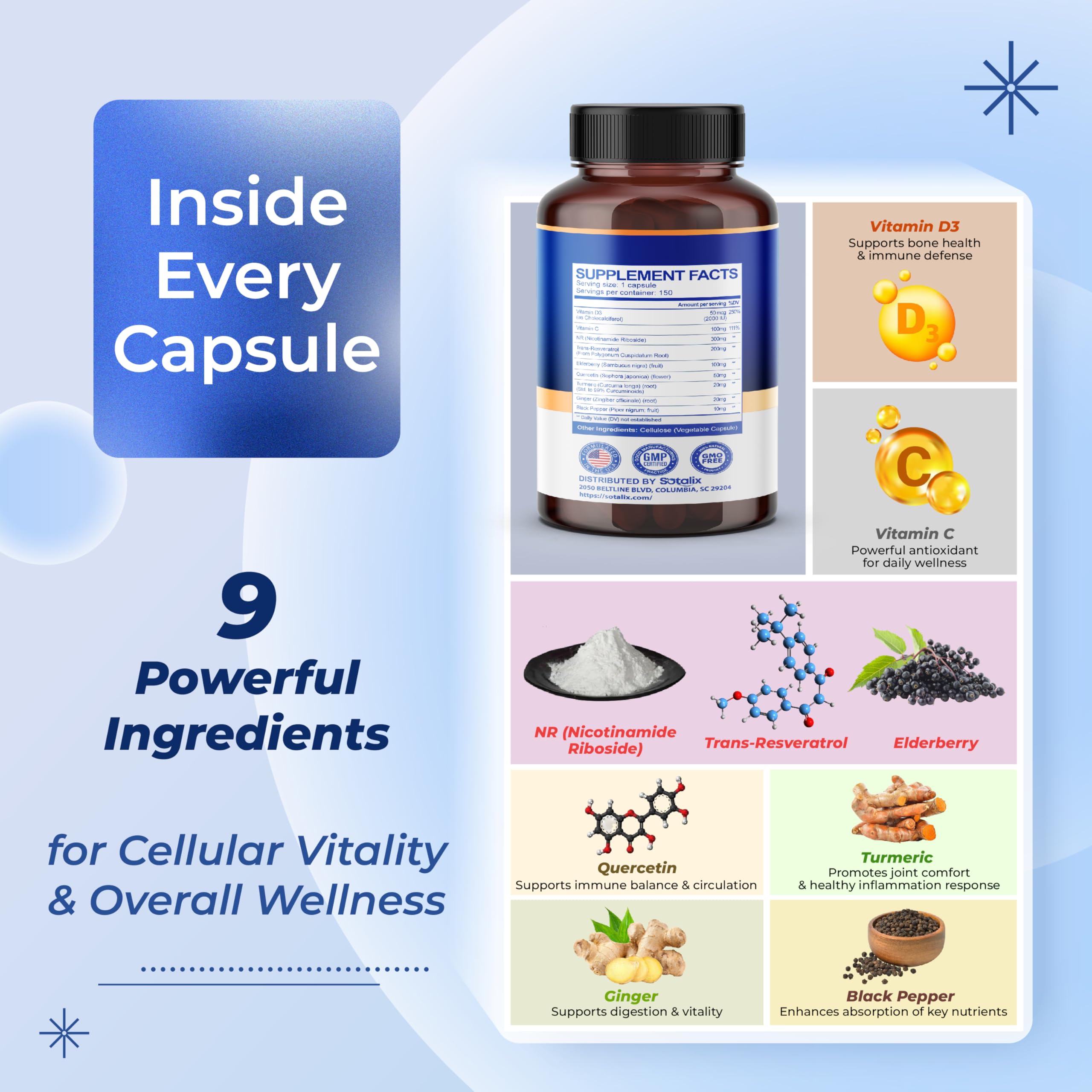 Sotalix formula ingredients: elderberry, quercetin, turmeric, and ginger