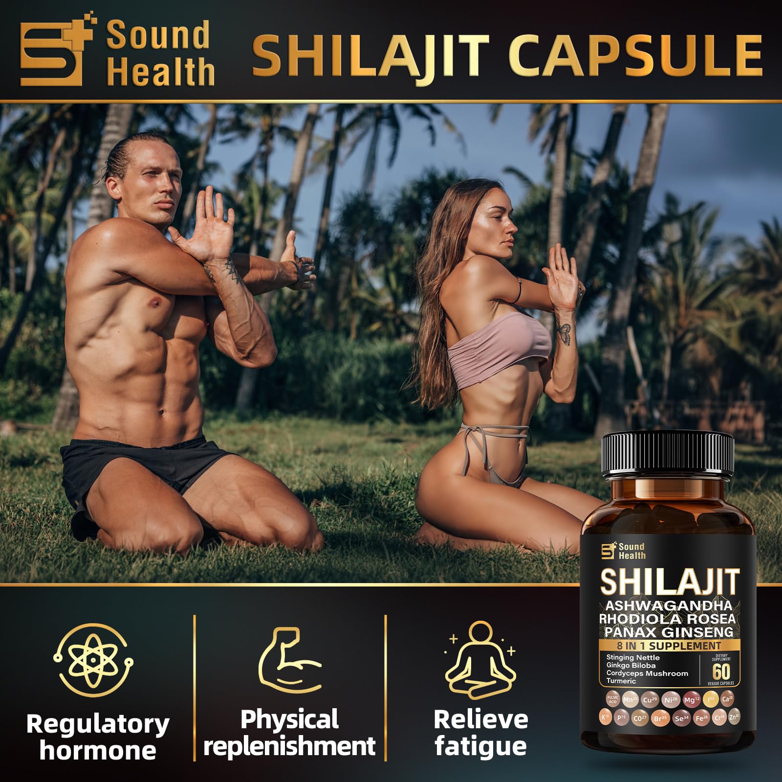 Raw Shilajit resin representing mineral-rich content