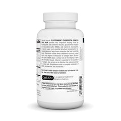 Graphic representation of joint-support ingredients: glucosamine, chondroitin, MSM, and vitamin C