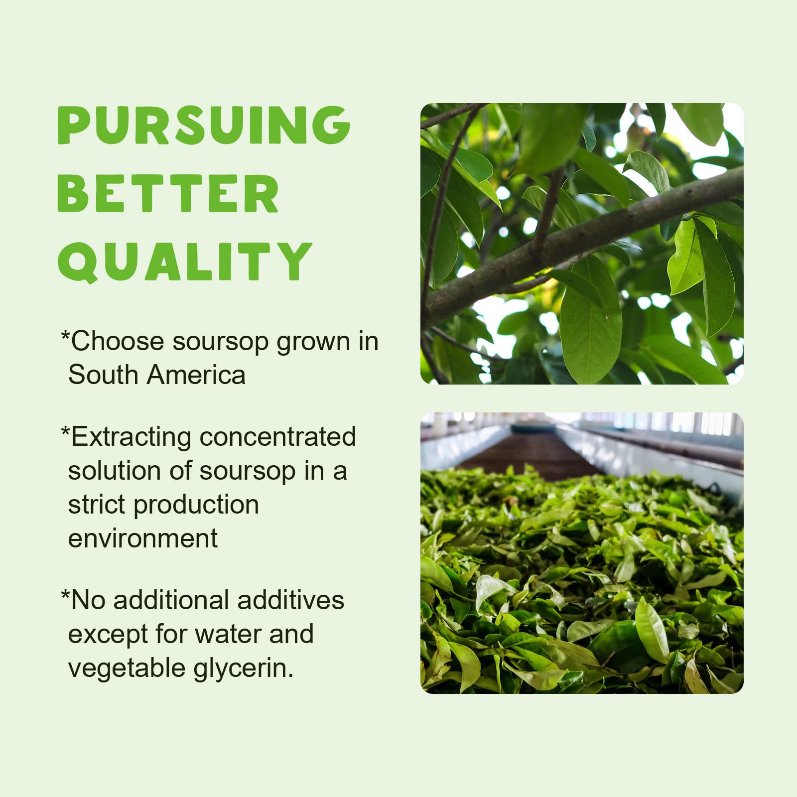 Soursop organic extract liquid drops in dropper