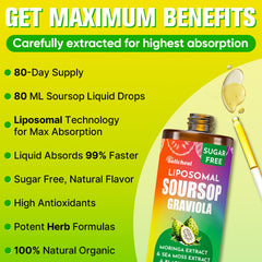 Illustration of ingredients including soursop, moringa, hibiscus, sea moss