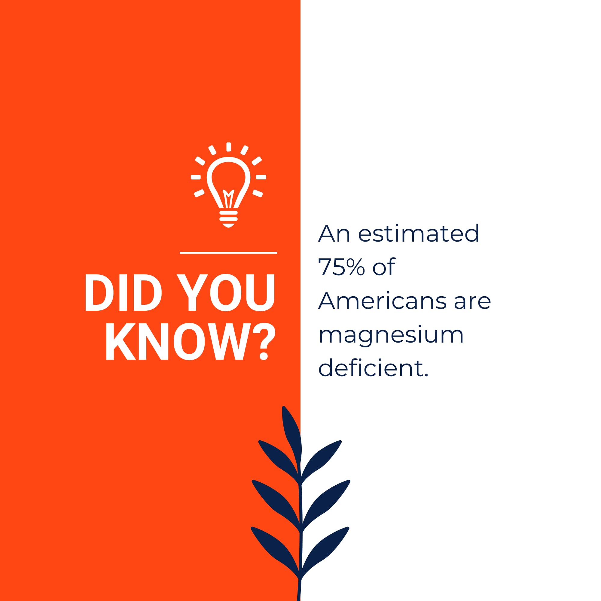 Soy-free and dairy-free magnesium formula