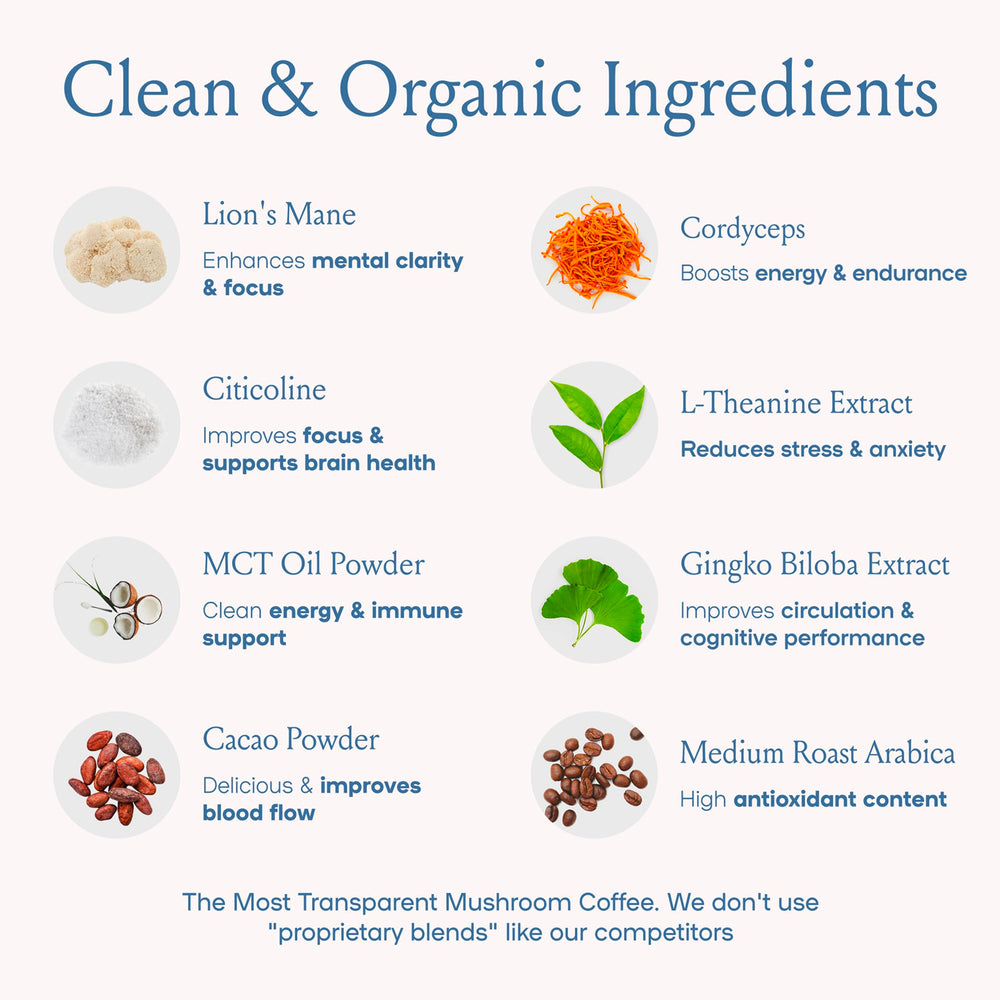 Ingredients: Lion's Mane, Cordyceps, L-Theanine and Ginkgo