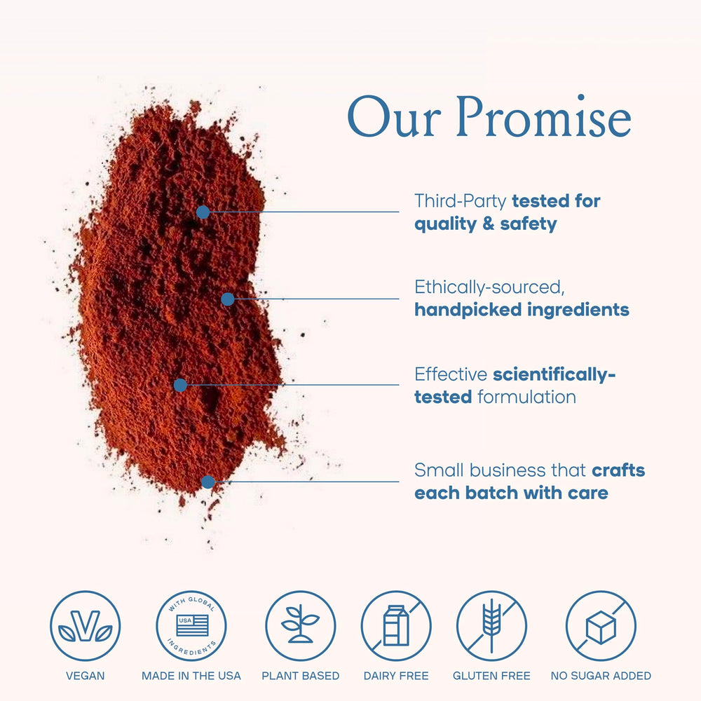 Lion’s Mane, Cordyceps, L-Theanine and Ginkgo ingredients