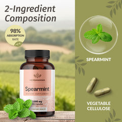 Graphic showing two-ingredient formula: spearmint leaves and vegetable cellulose capsule