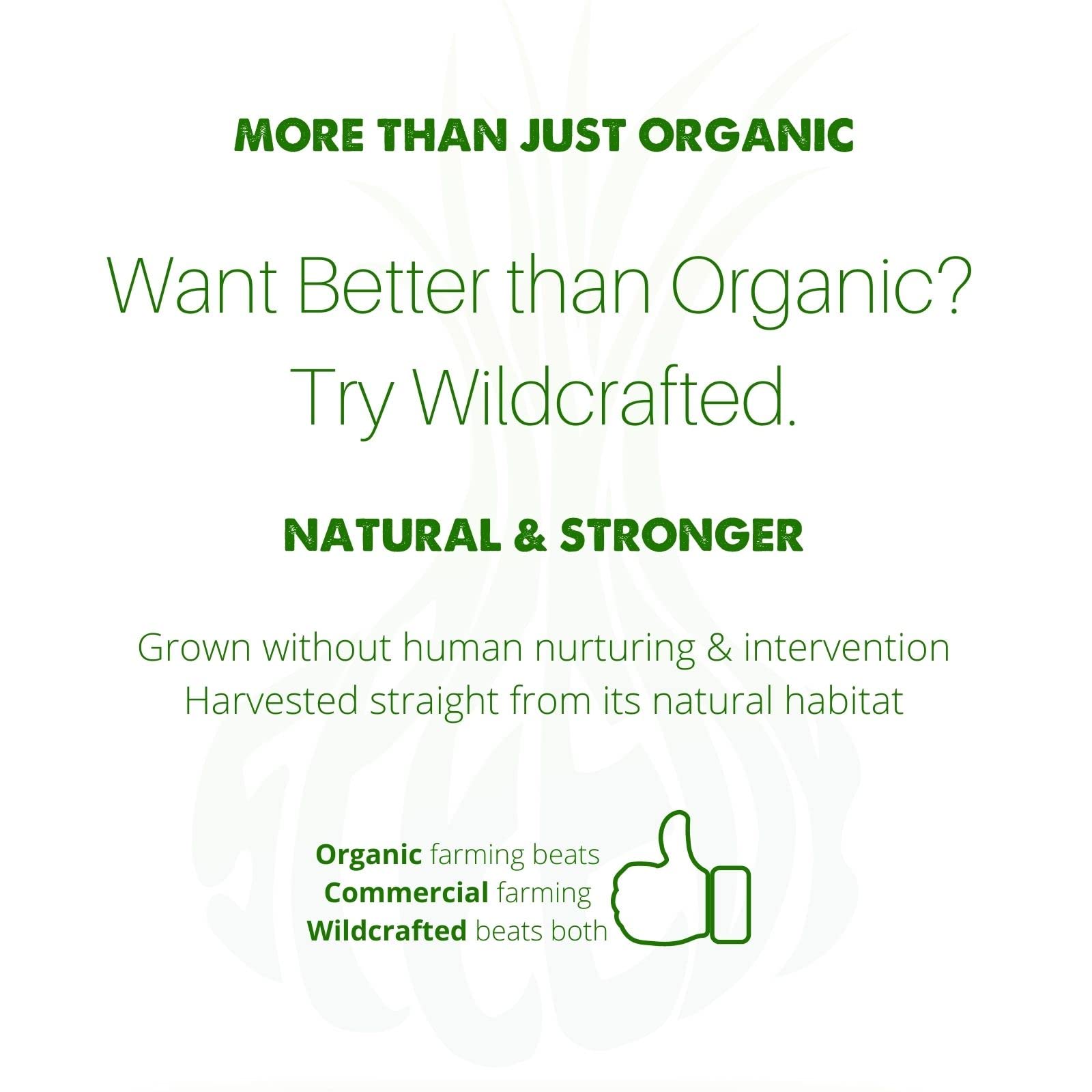 SpeedyVite juniper-berries tea bottle displays aromatic notes for a refreshing daily ritual.