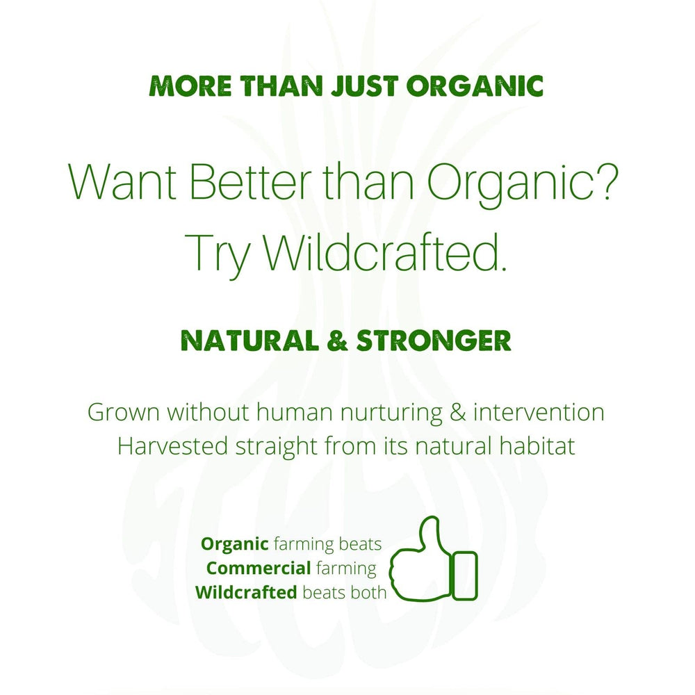 SpeedyVite juniper-berries tea bottle displays aromatic notes for a refreshing daily ritual.