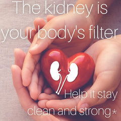 SpeedyVite marshmallow-root tea brew shows earthy aroma and long-steep potential.