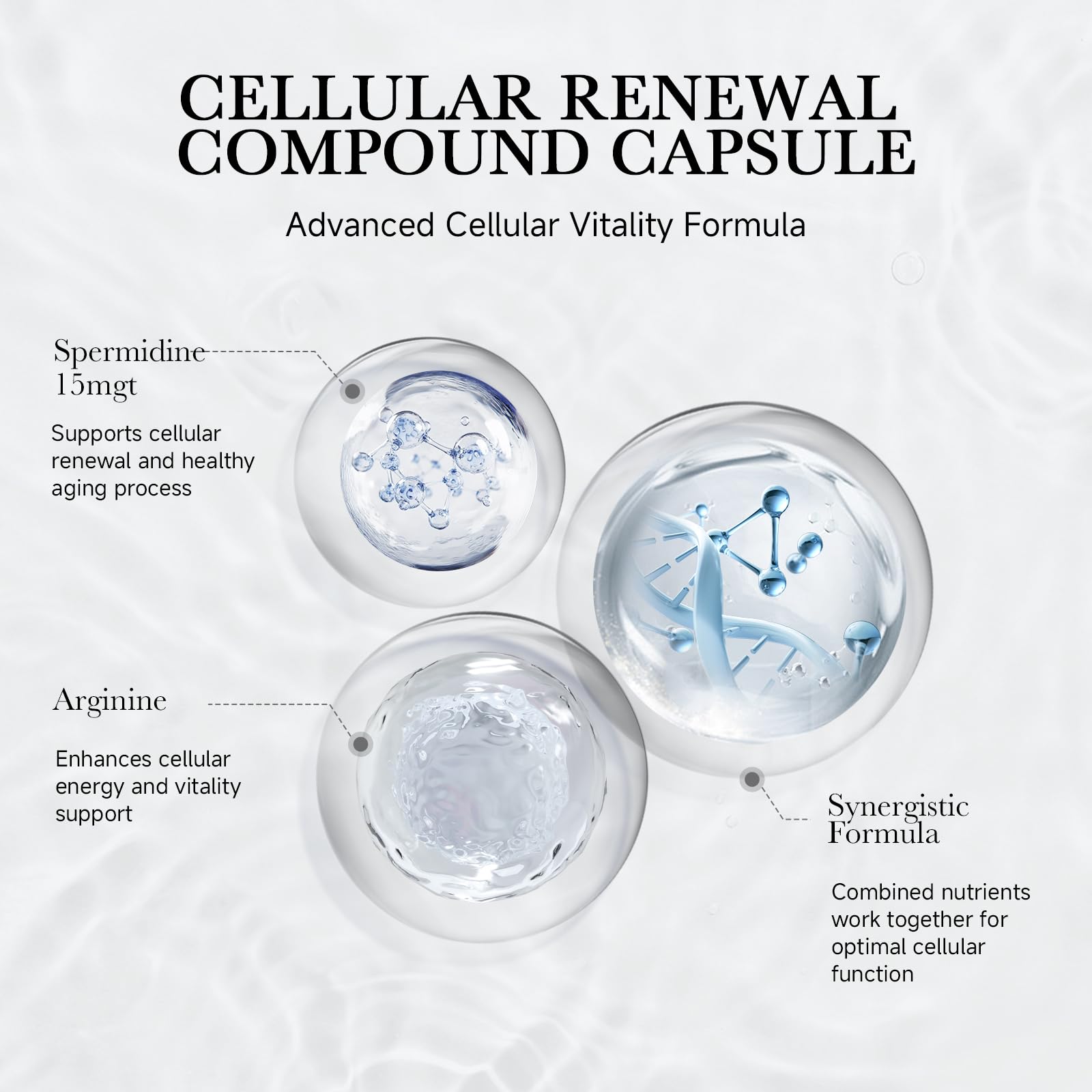 Bottle of Spermidine 90 capsules