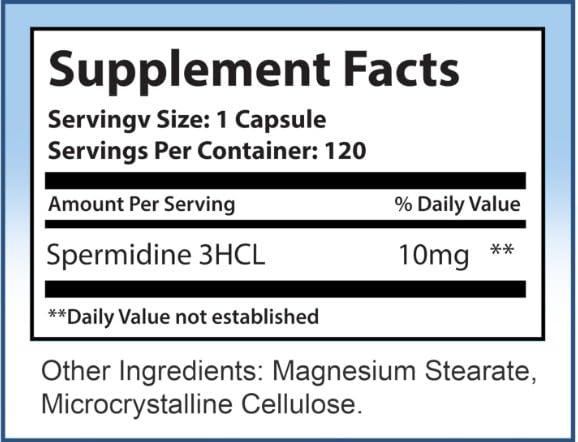 Illustration of spermidine supporting brain health and focus