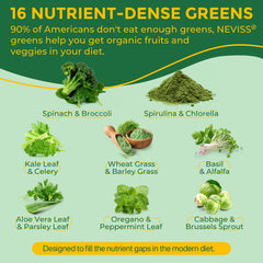 Photo of greens ingredients: spinach, spirulina, broccoli, chlorella