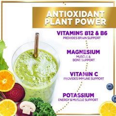 Close-up of spirulina and chlorella powder ingredients