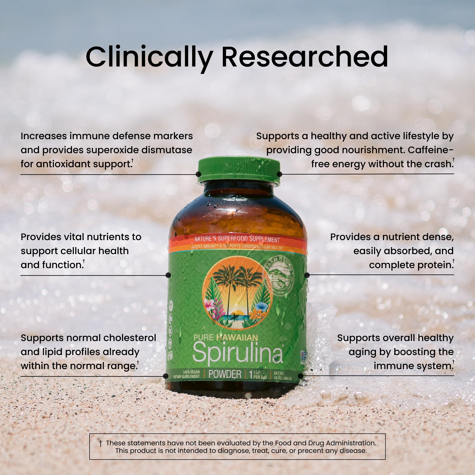 Illustration of spirulina supporting immune health and energy
