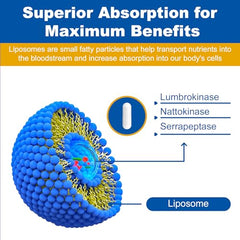 Capsules containing Lumbrokinase, Nattokinase, and Serrapeptase
