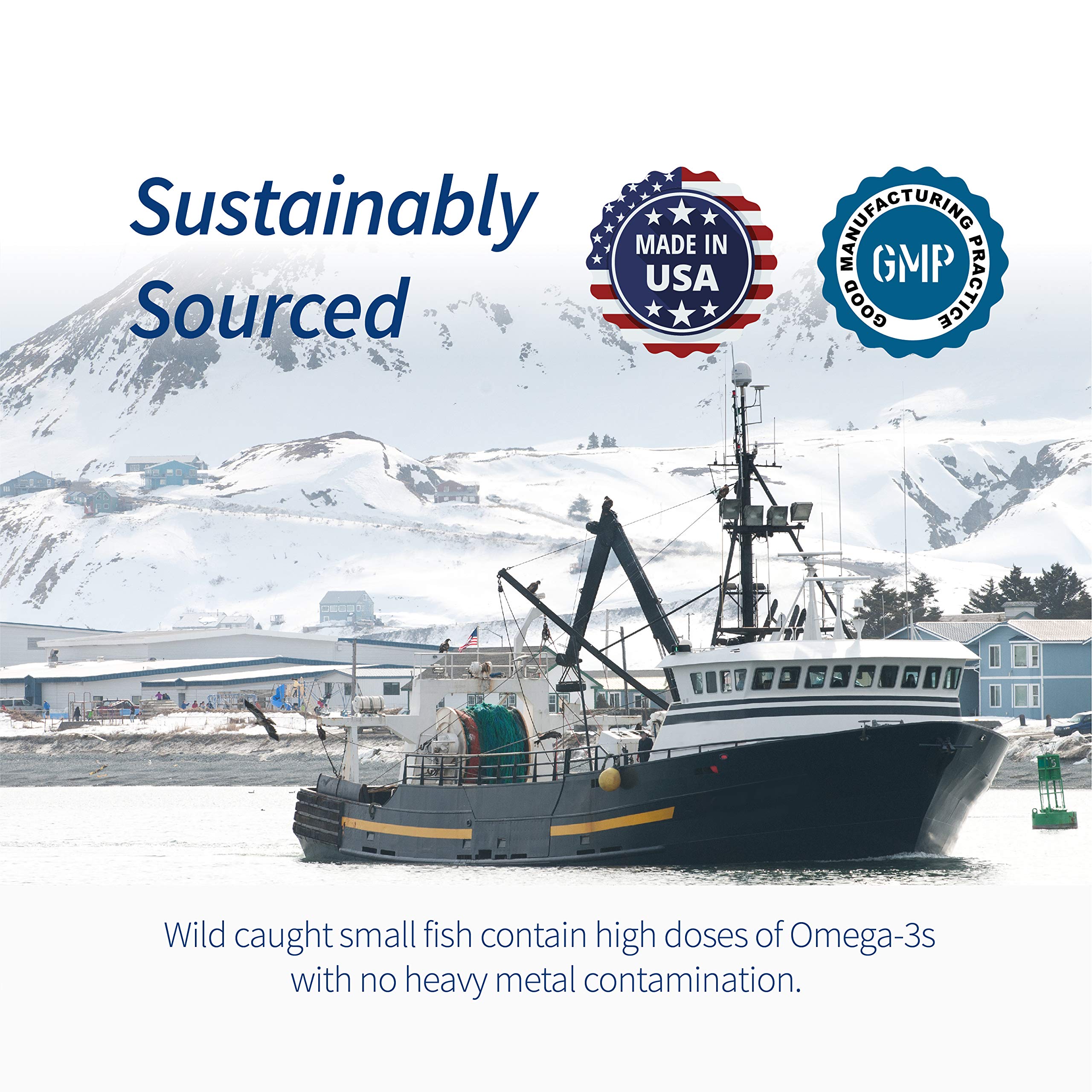 Illustration of sustainably sourced wild fish