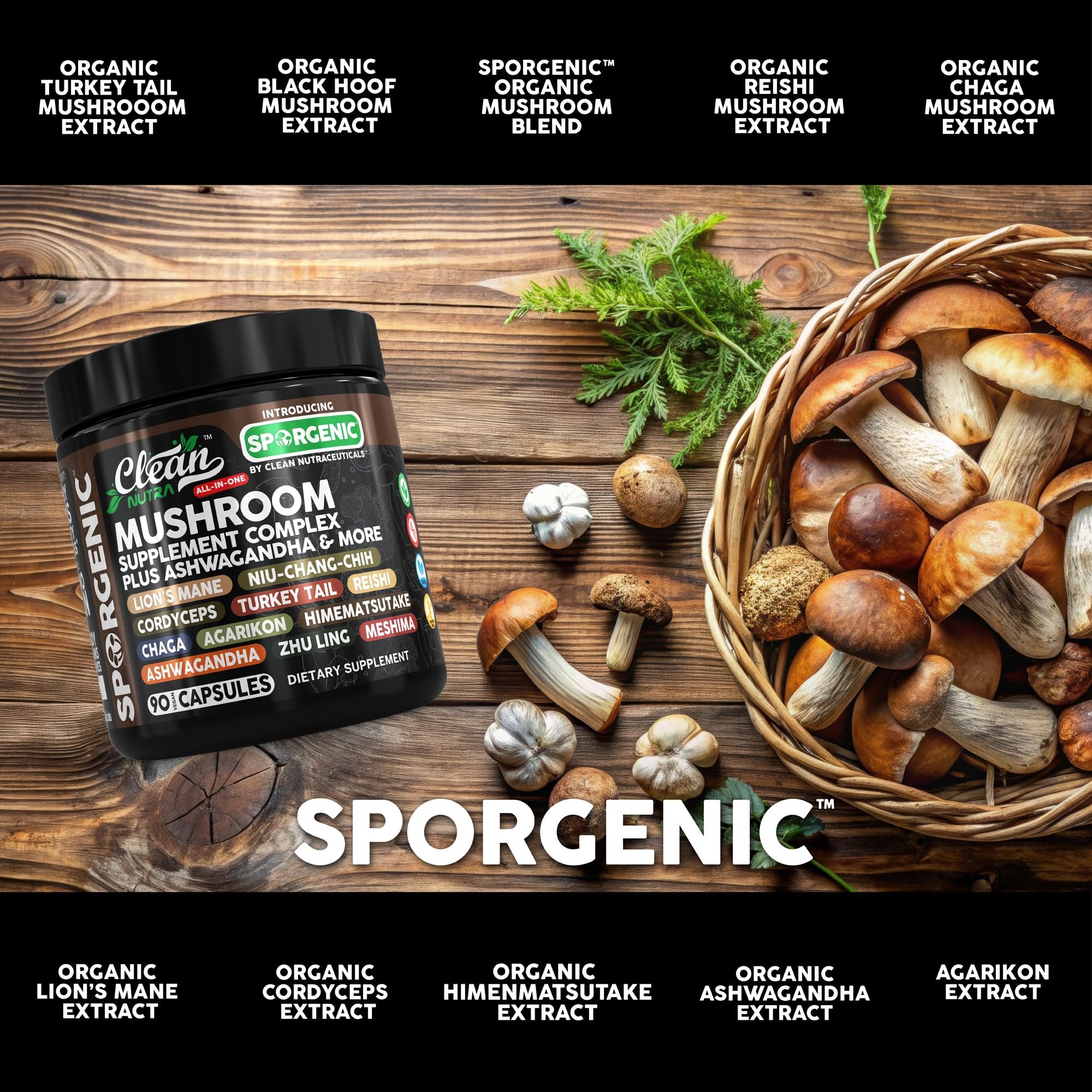 Black Hoof mushroom and immune-supporting mushrooms