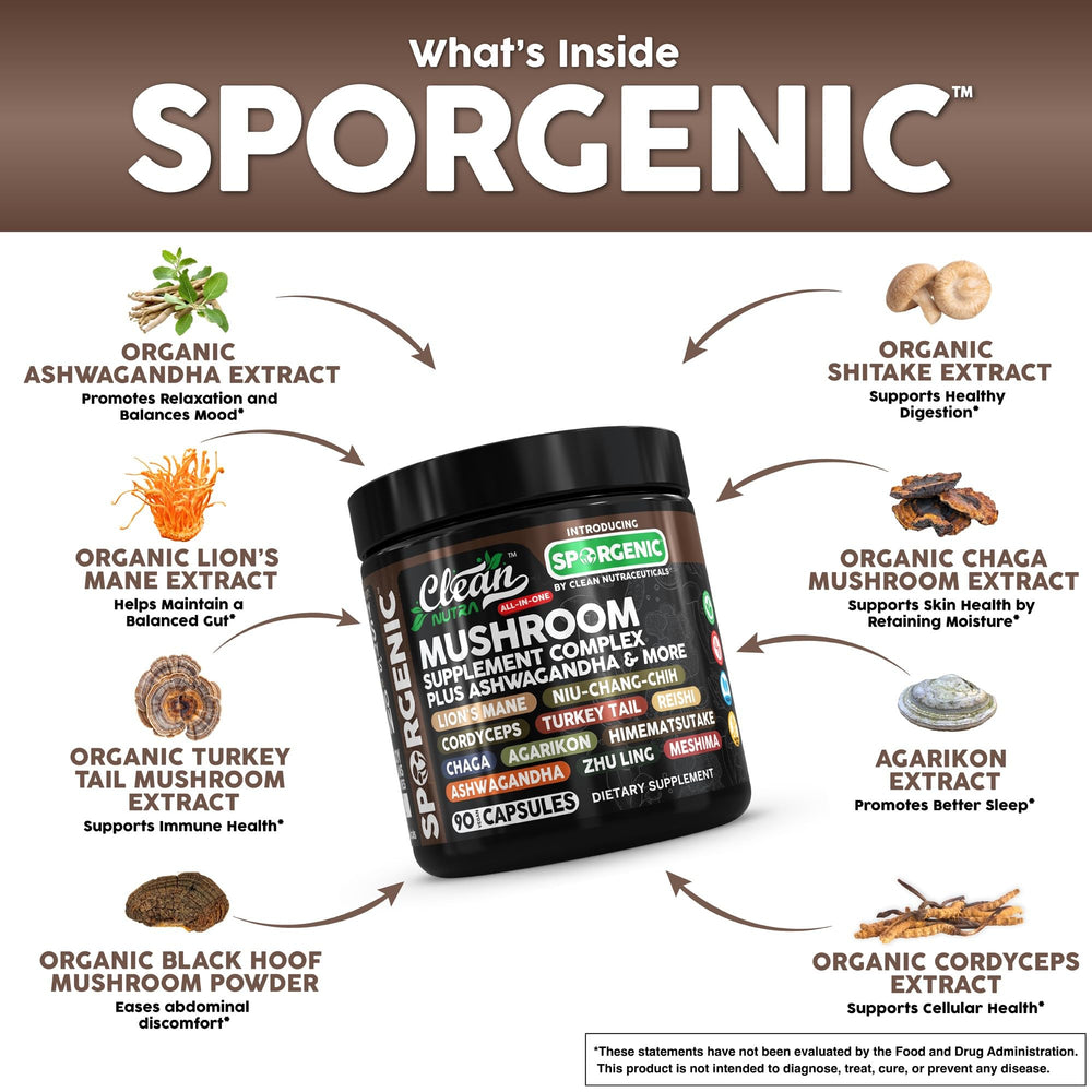 Shiitake, Cordyceps, Chaga, and Tremella mushroom blend