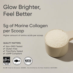 Unflavored collagen powder in a scoop