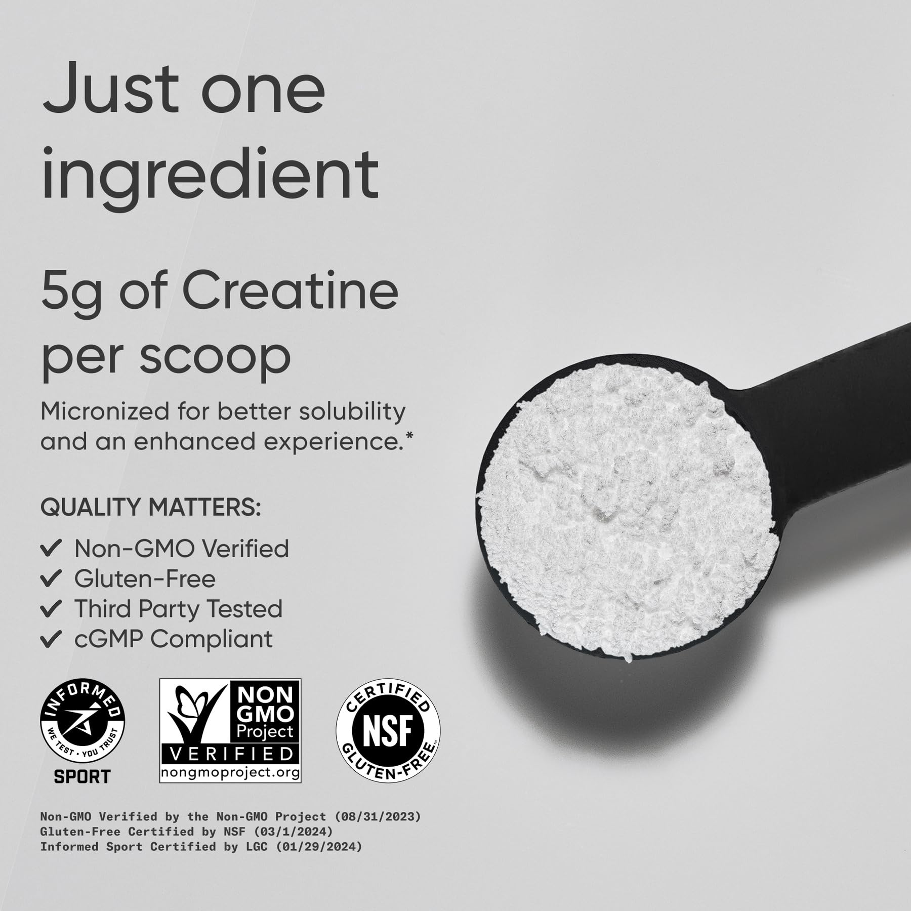 Creatine Monohydrate powder in jar