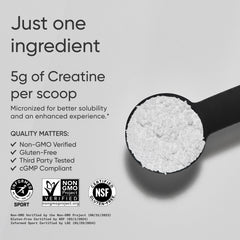 Creatine Monohydrate powder in jar