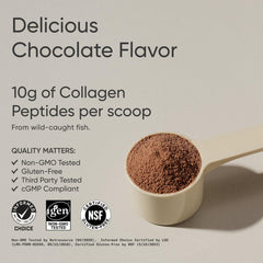 One scoop of Dark Chocolate collagen powder in a glass