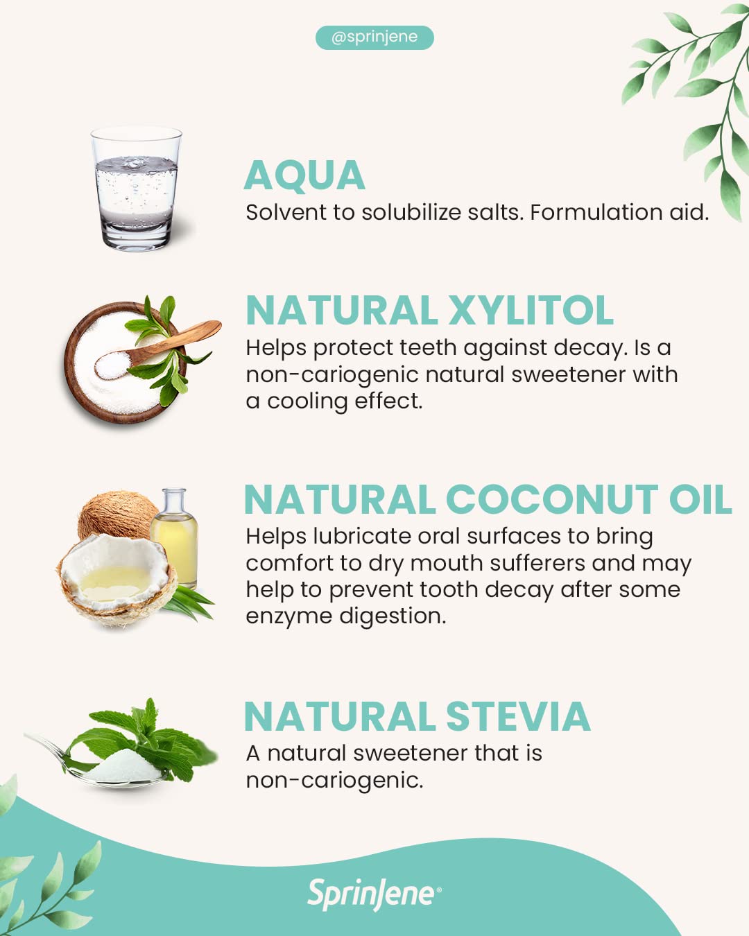 Ingredient panel showing natural plant-based formula