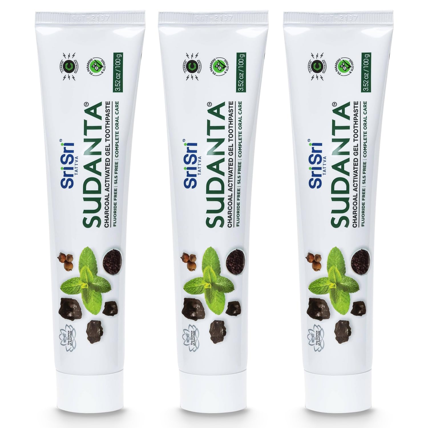 Front view of Sri Sri Tattva Sudanta Charcoal Toothpaste Gel 100g pack3