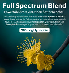 Front label of St John's Wort capsules
