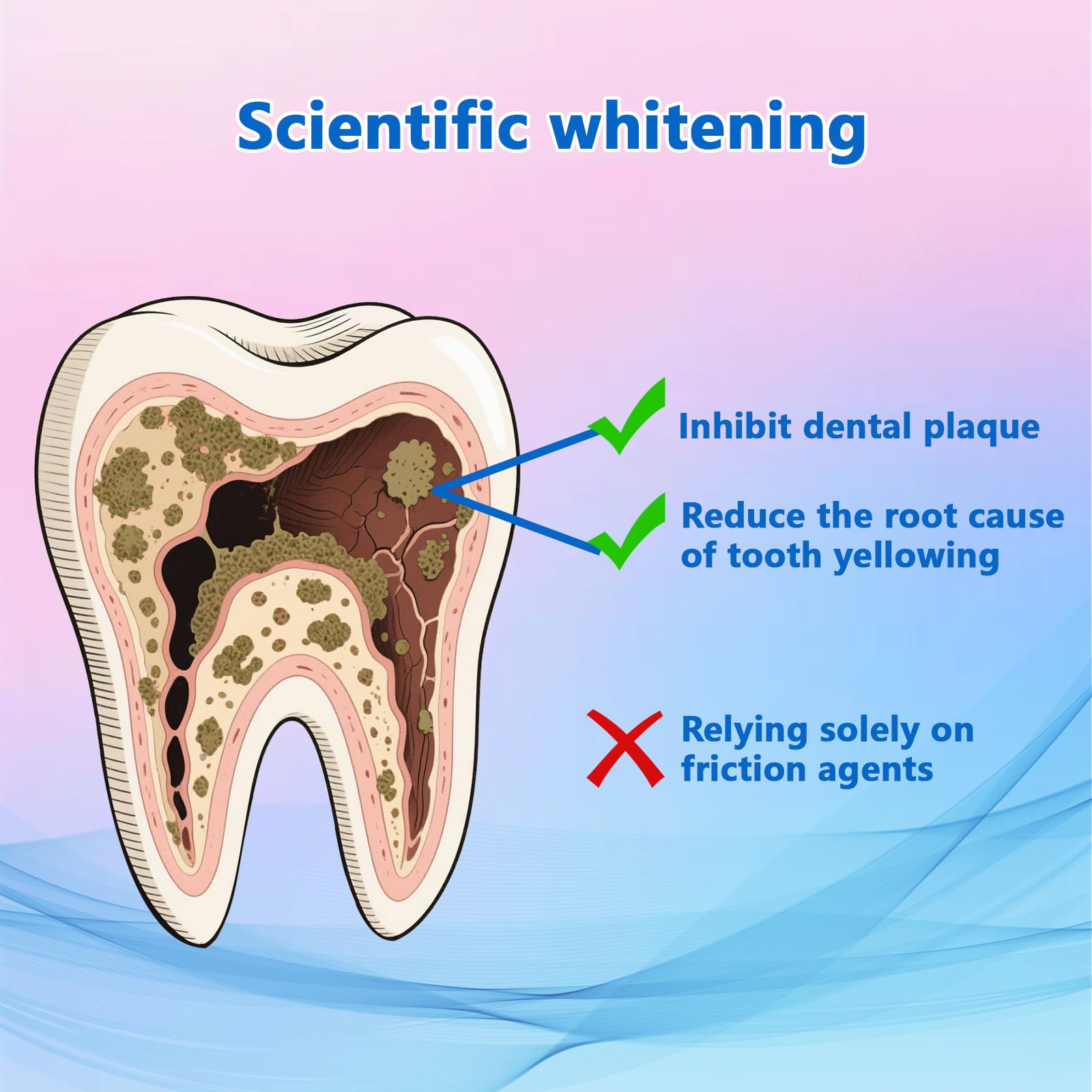 Before and after stain removal with Niacinamide toothpaste