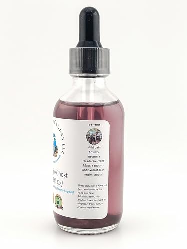 Monotropa uniflora (Ghost Plant) plant specimen