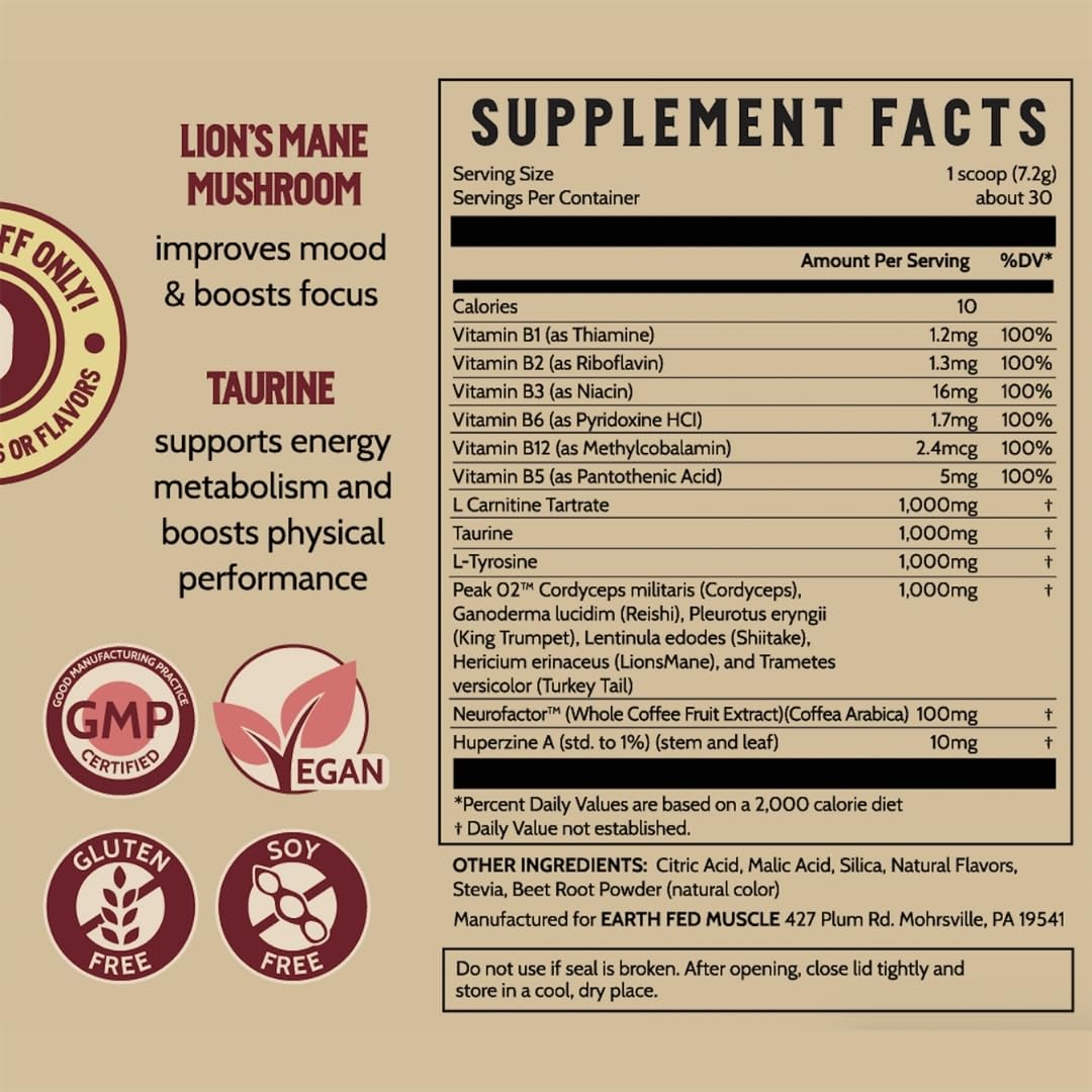 Lion's Mane ingredient highlighted on Stammpede packaging