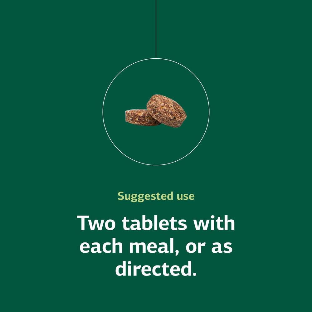 Illustration showing Betafood supporting healthy bowel functioning