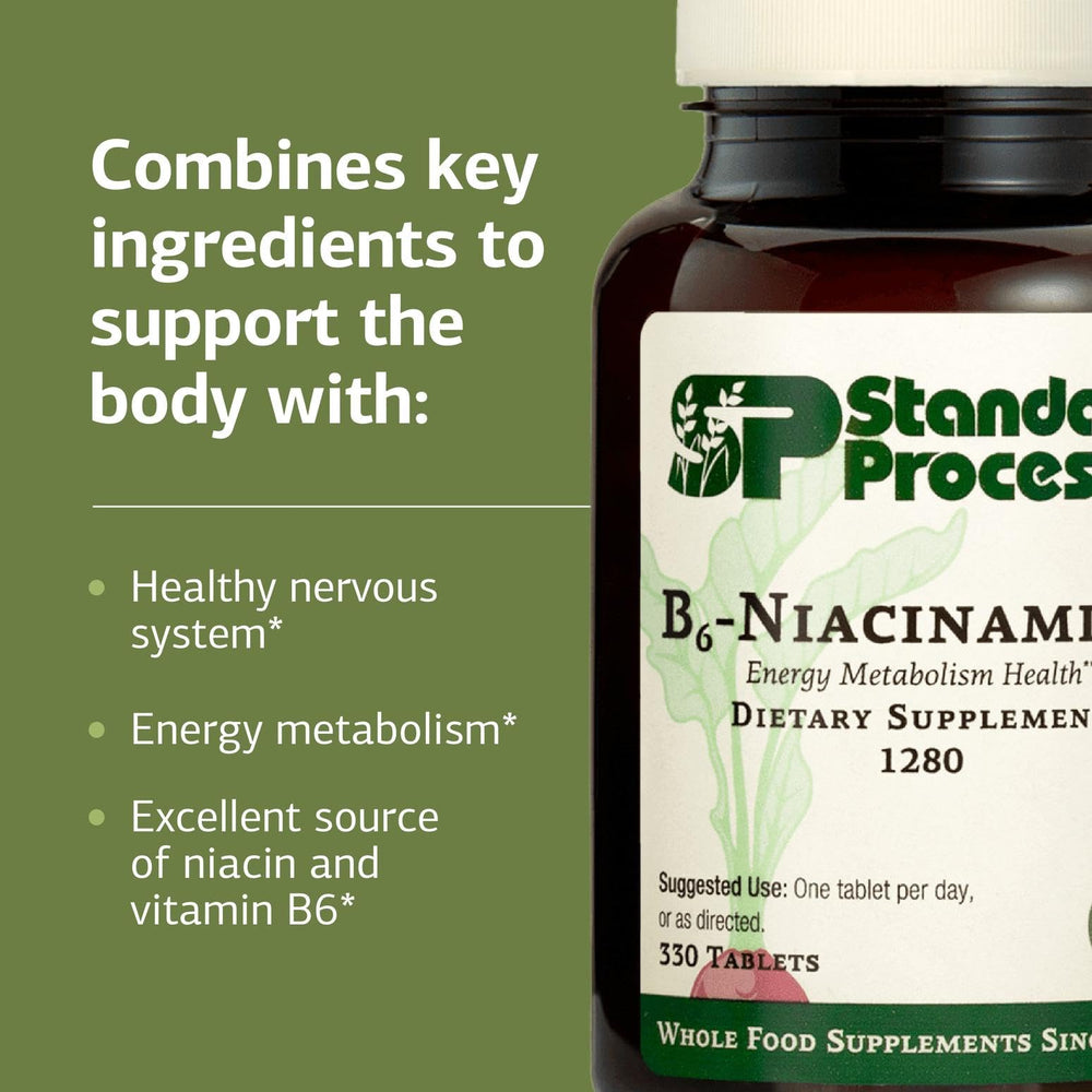 Digestive health benefits of B6-Niacinamide