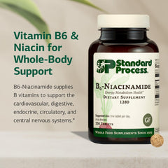Graphic illustrating heart health and B vitamins