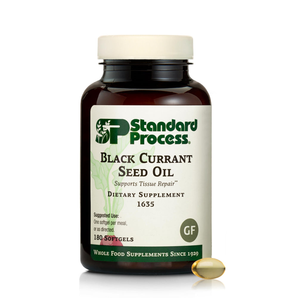 Standard Process Black Currant Seed Oil 180 softgels bottle (hero image)