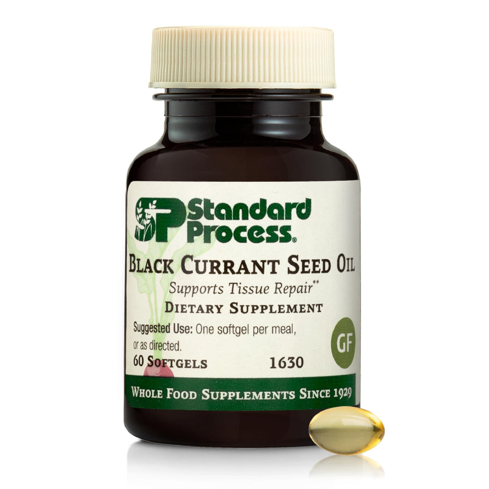 Standard Process Black Currant Seed Oil bottle - main product image