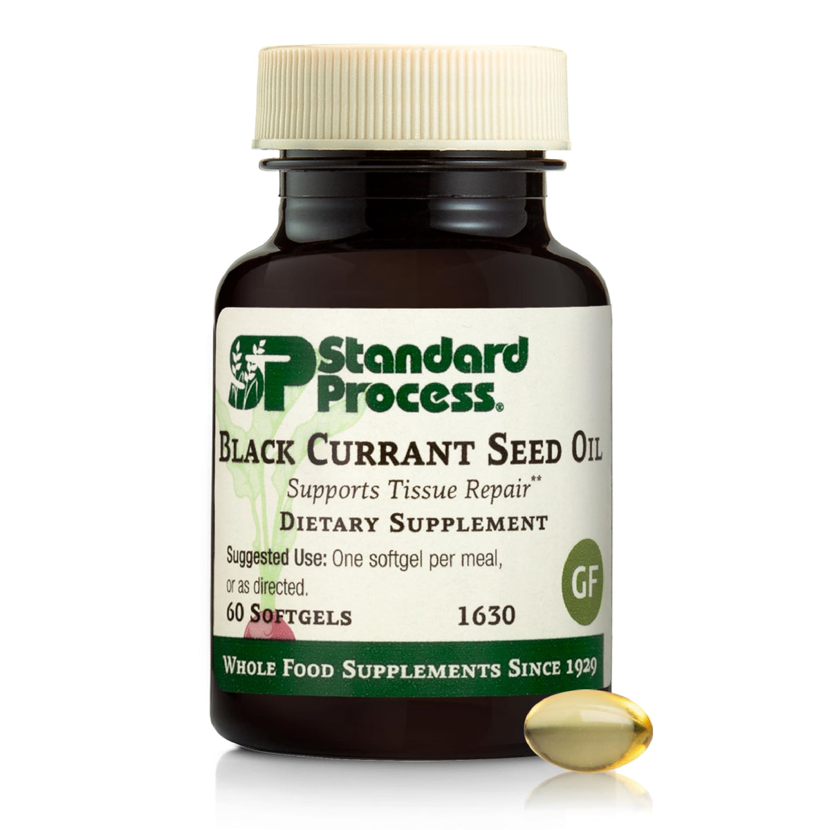 Standard Process Black Currant Seed Oil bottle - main product image