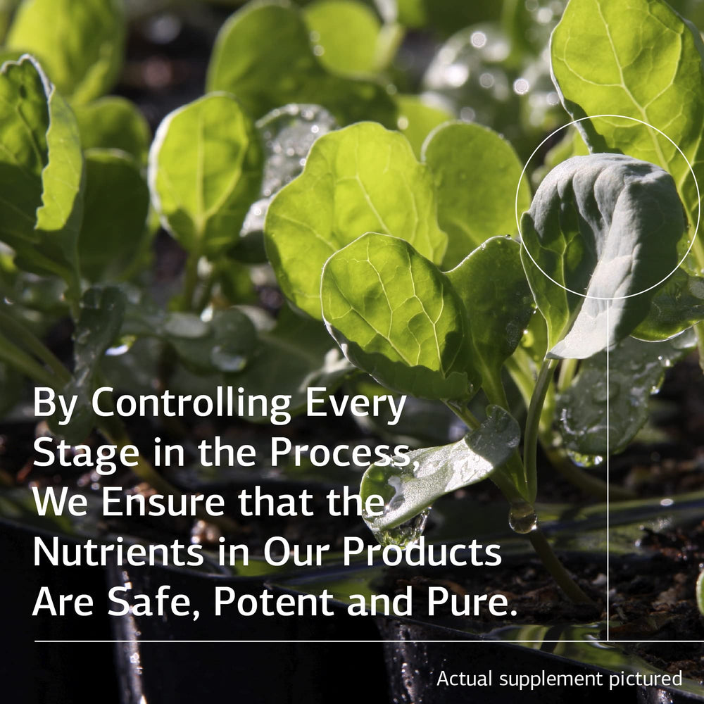 Standard Process branding and Cal-Ma Plus packaging