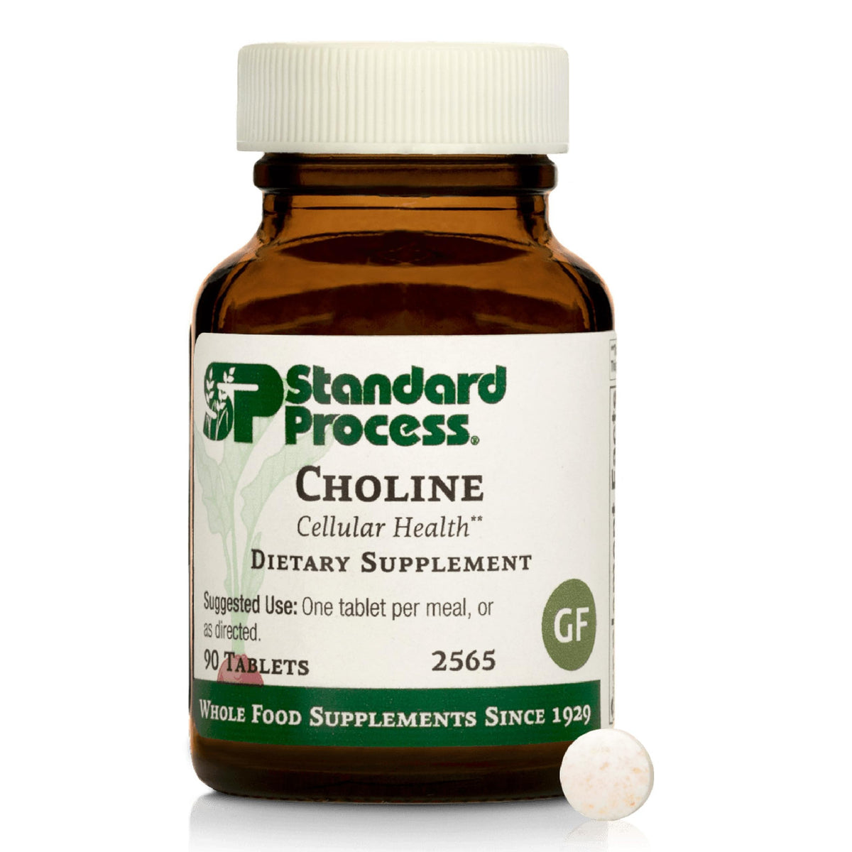 Bottle of Standard Process Choline supplement with label