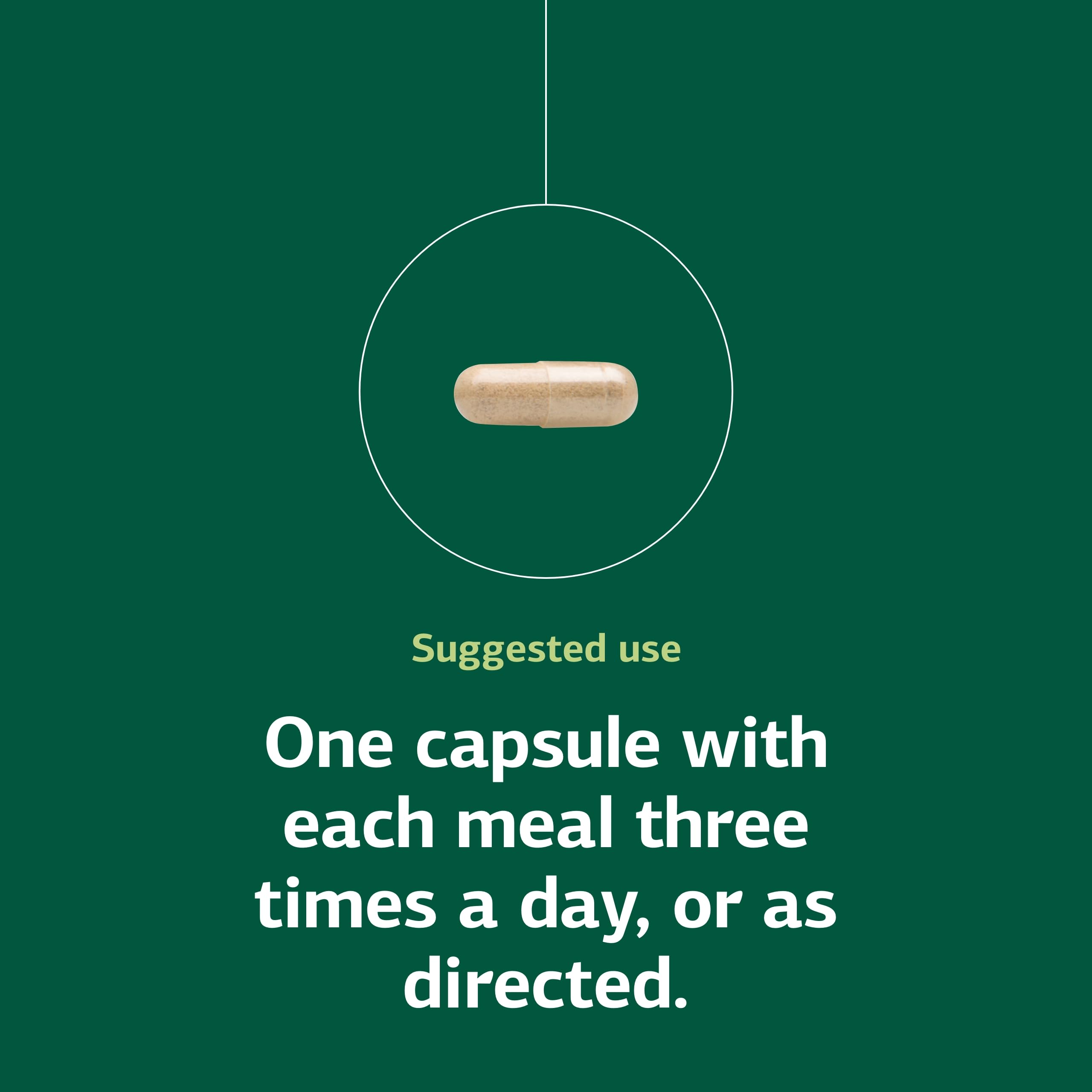 Enzycore supplement facts panel