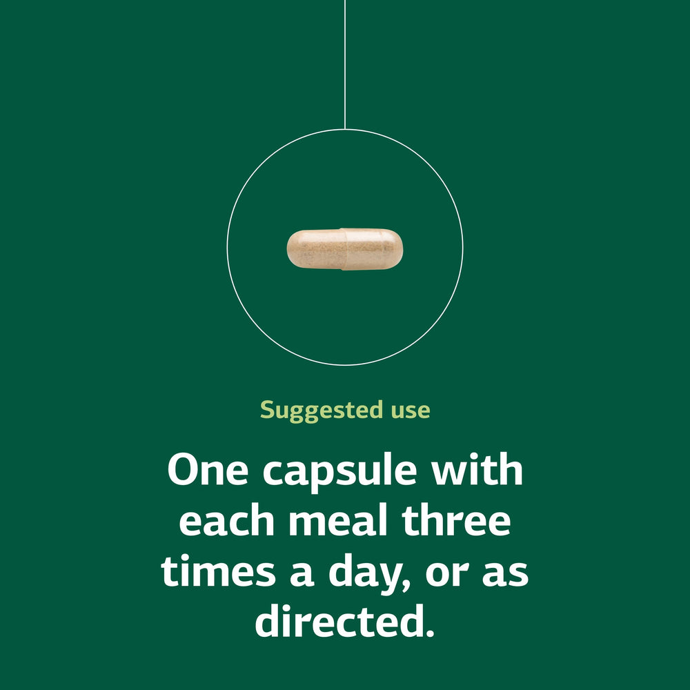 Enzycore supplement facts panel