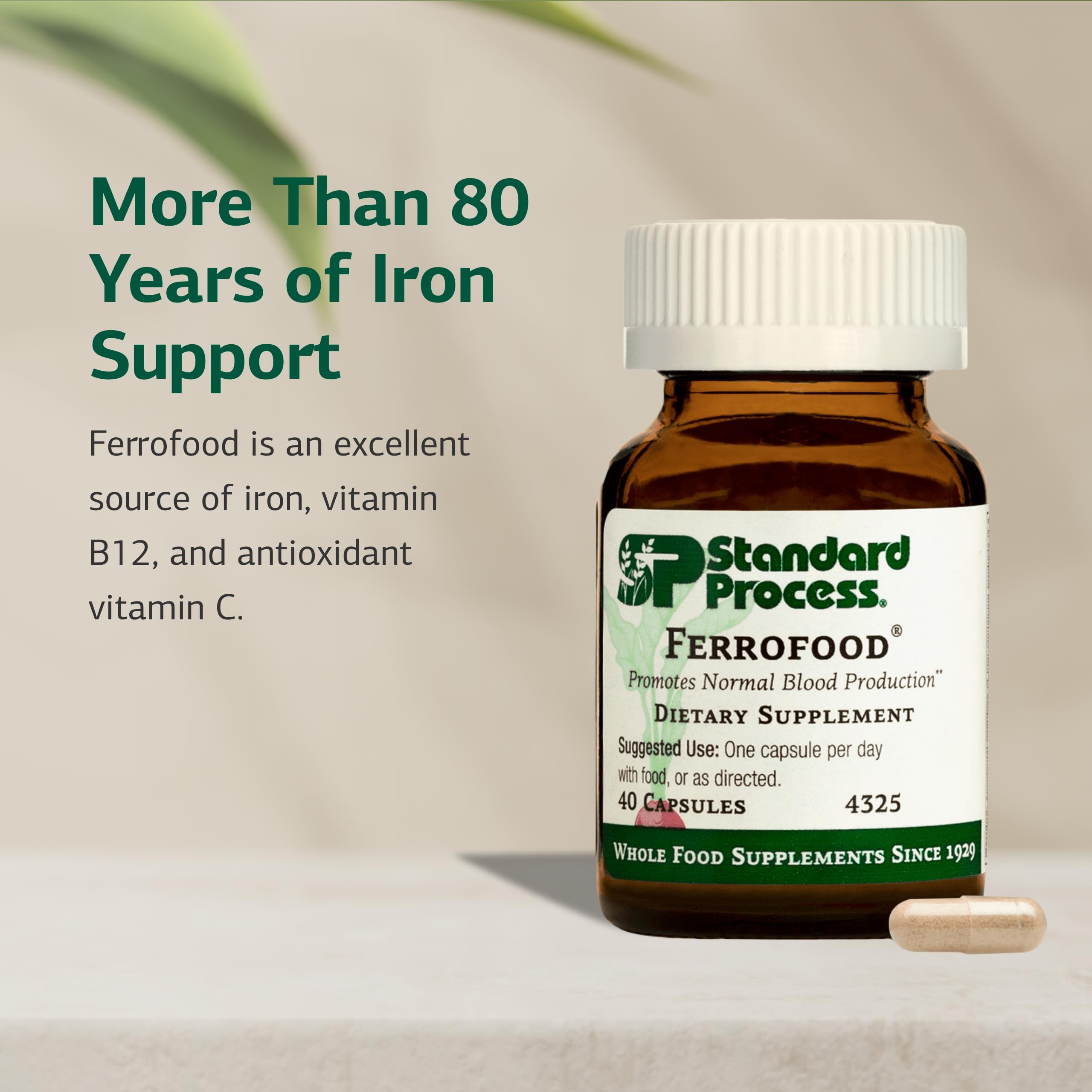 Vitamin C and iron absorption concept illustration
