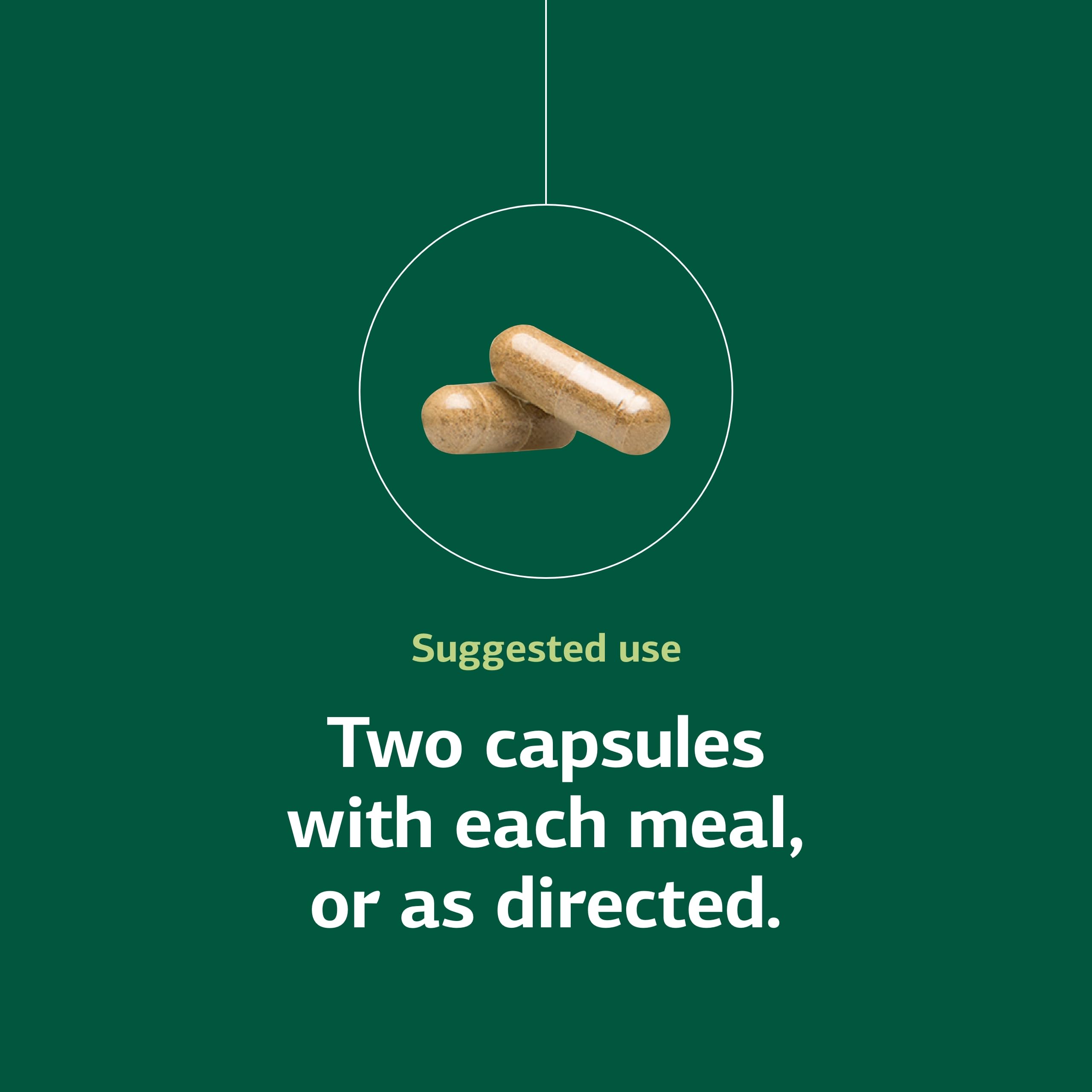 Standard Process Iplex packaging label close-up for product authenticity.
