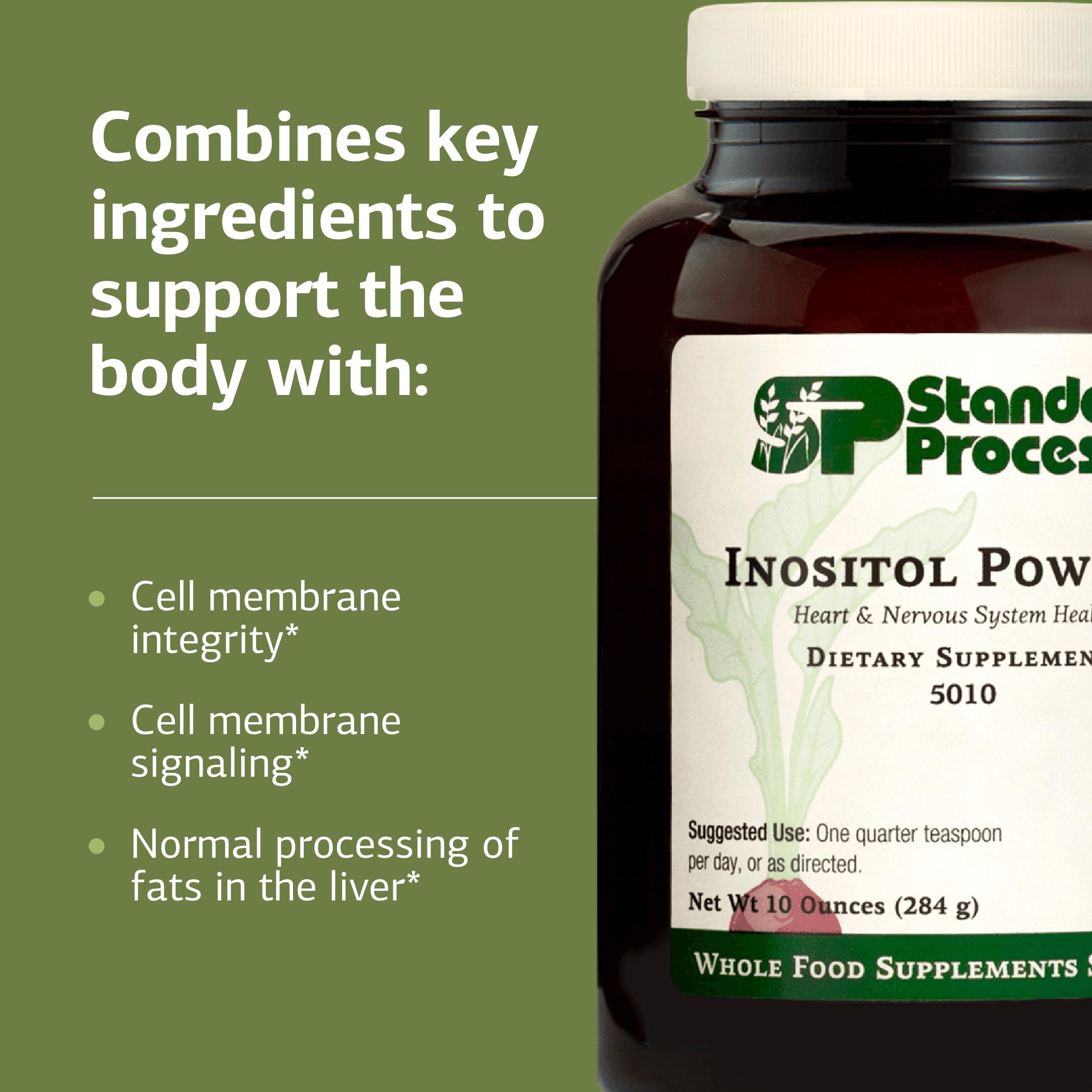 Standard Process Inositol Powder being mixed into a smoothie for nervous system support.