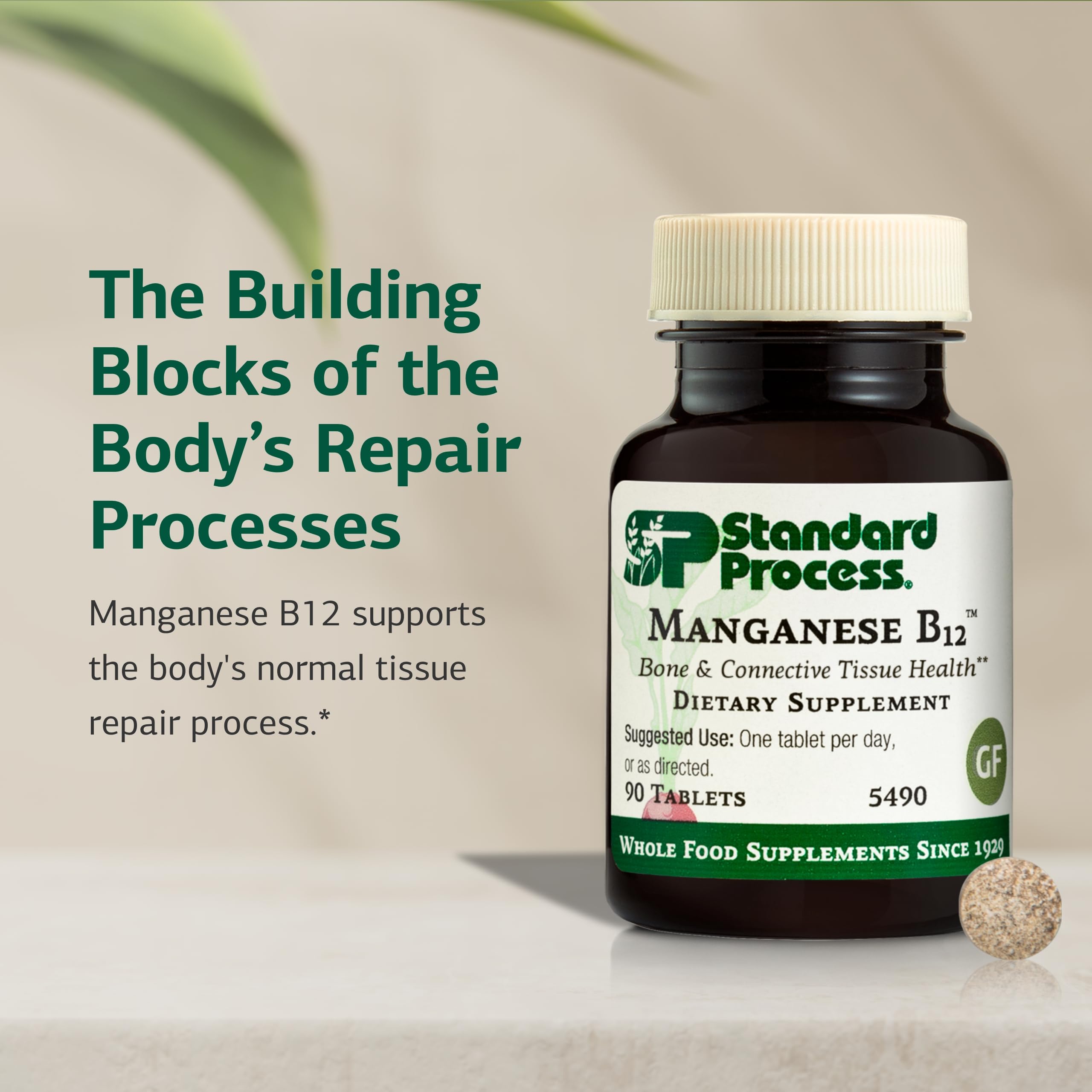Tissue repair and connective tissue health with Manganese B12