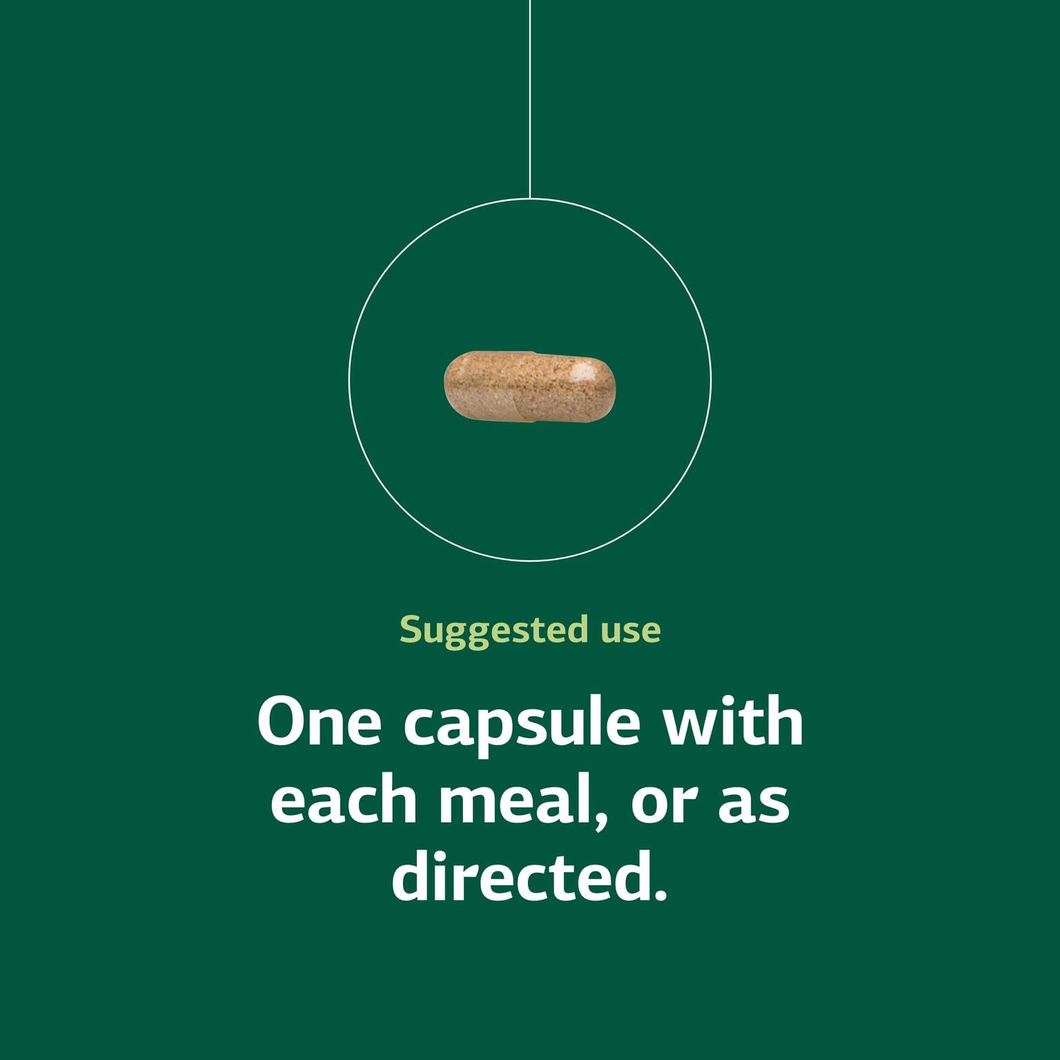  Whole-food pancreas support digestive supplement by Standard Process