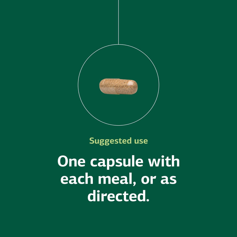  Whole-food pancreas support digestive supplement by Standard Process